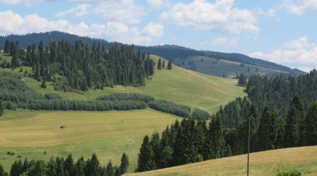 Widok  z wyciągu – Jaworki, Polska
