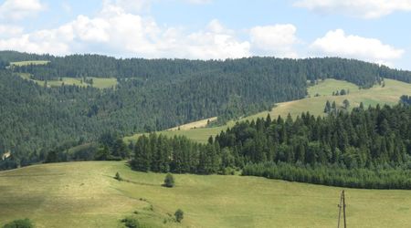 Widok  z wyciągu – Jaworki, Polska