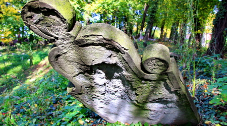 stary cmentarz żydowski (kirkut) – Cieszyn, Polska