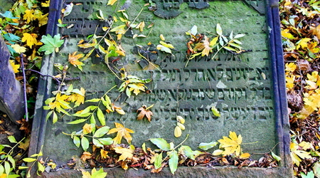 stary cmentarz żydowski (kirkut) – Cieszyn, Polska