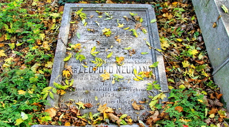 stary cmentarz żydowski (kirkut) – Cieszyn, Polska