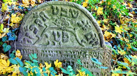 stary cmentarz żydowski (kirkut) – Cieszyn, Polska
