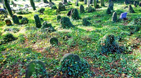 stary cmentarz żydowski (kirkut) – Cieszyn, Polska