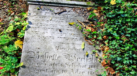 stary cmentarz żydowski (kirkut) – Cieszyn, Polska