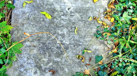 stary cmentarz żydowski (kirkut) – Cieszyn, Polska