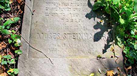 stary cmentarz żydowski (kirkut) – Cieszyn, Polska