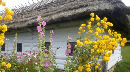 Sanok – Polska