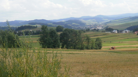 Okolice Niedzicy – Niedzica, Polska