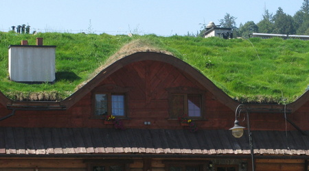 Cisna – Polska
