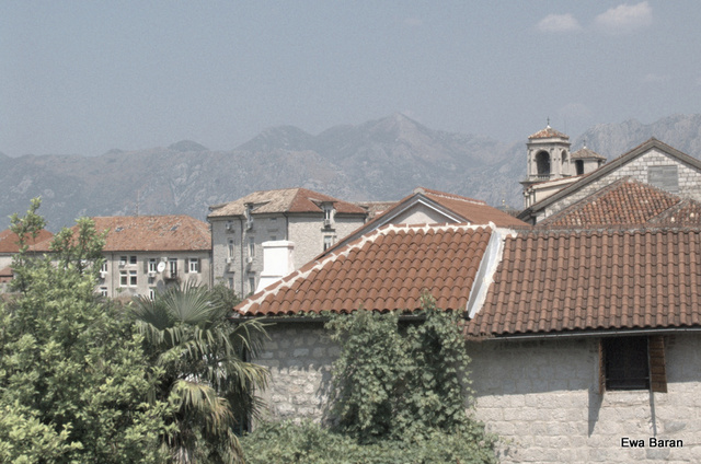 012 p1014097 orf