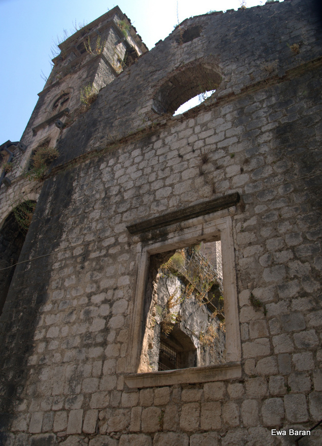 014 p1014103 orf