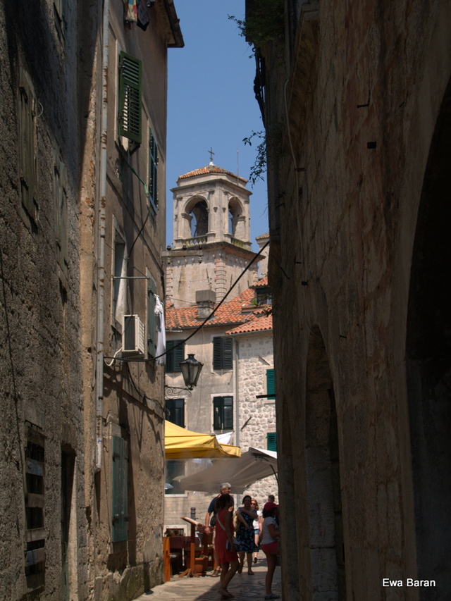 021 p1014121 orf