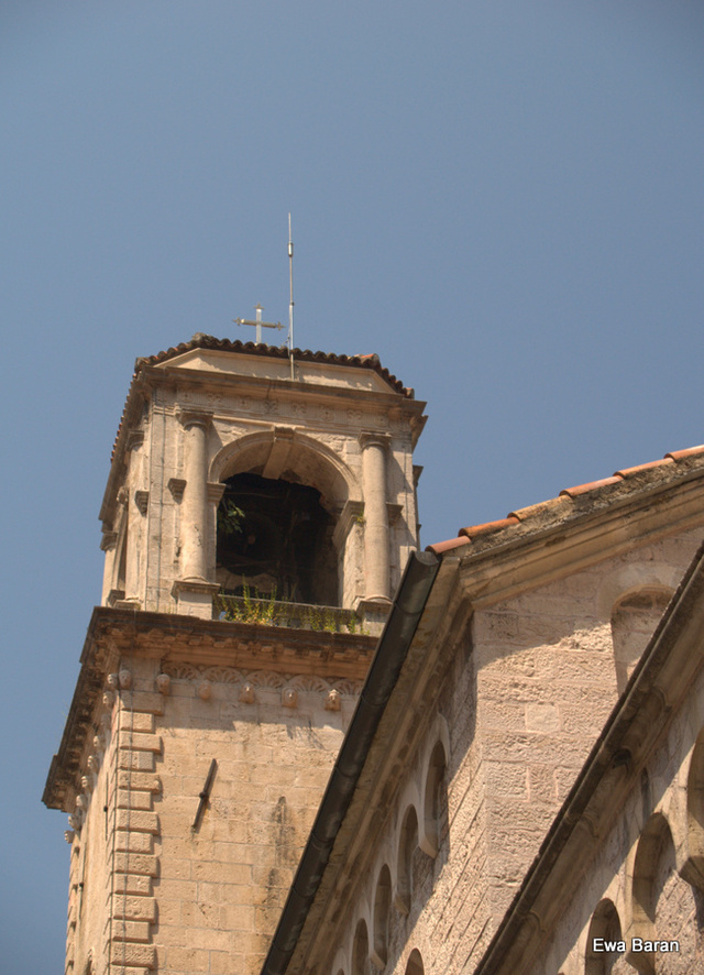 026 p1014134 orf