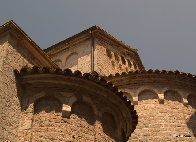027 p1014135 orf