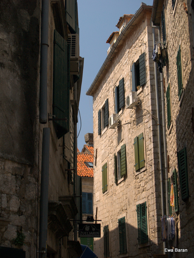 043 p1014218 orf