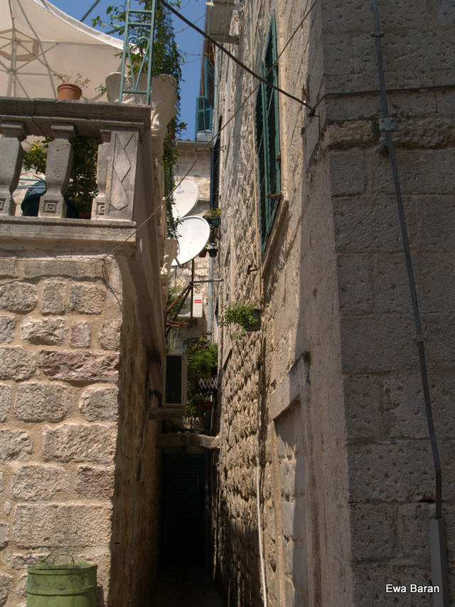 050 p1014236 orf