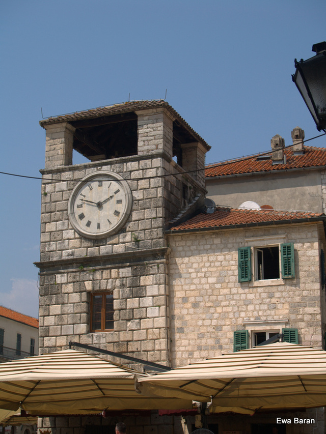 058 p1014291 orf