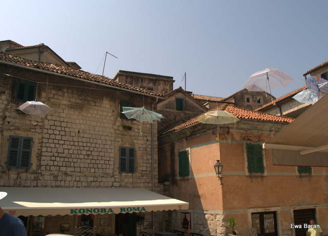 064 p1014322 orf