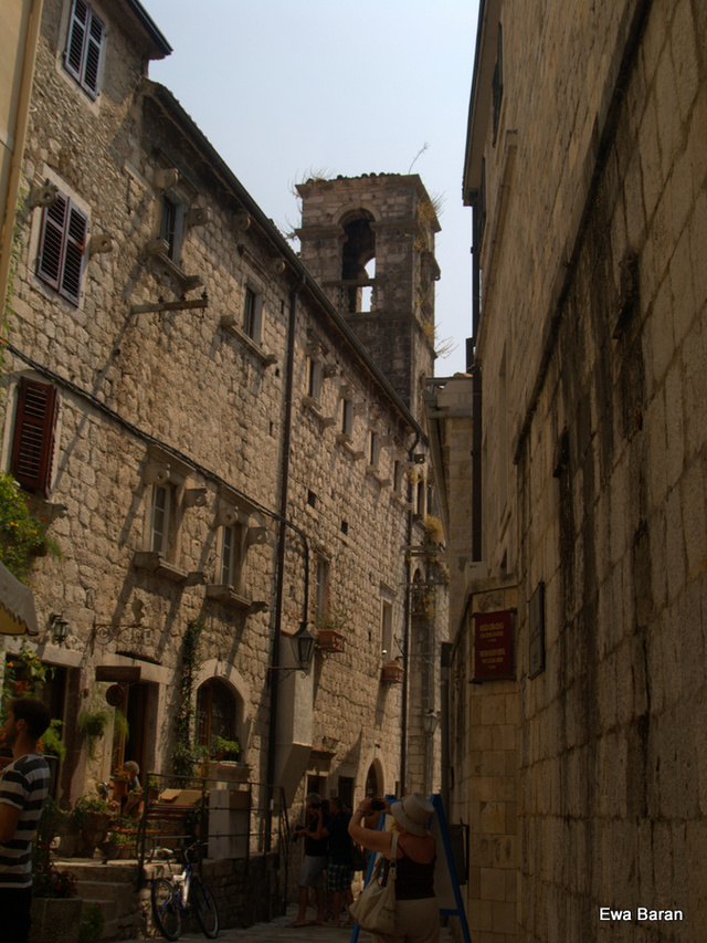 069 p1014348 orf