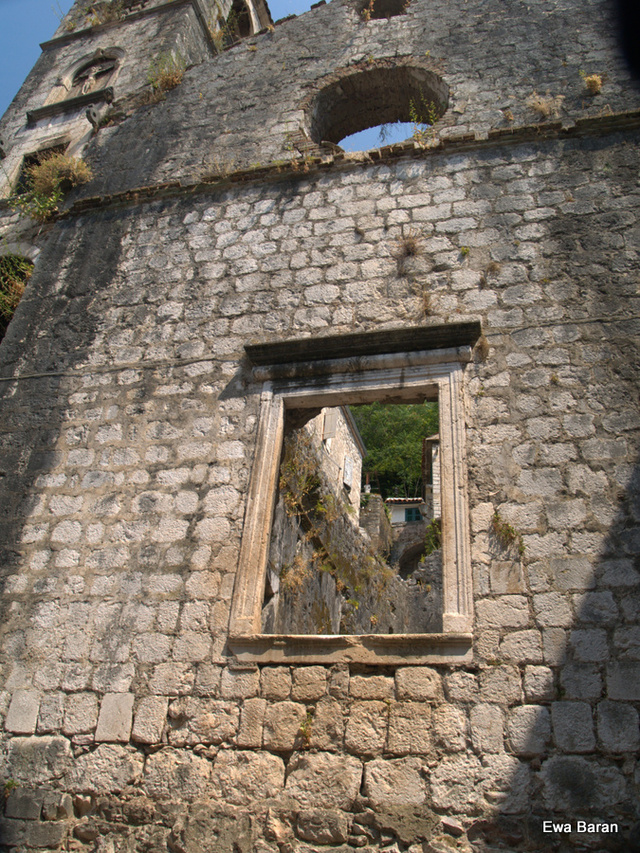 072 p1014361 orf