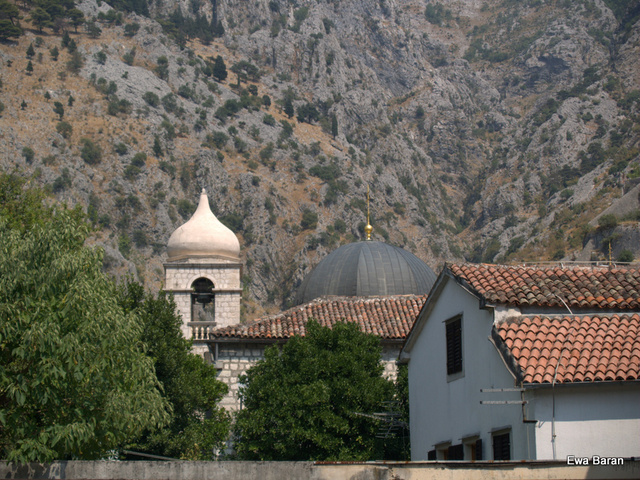 080 p1014393 orf