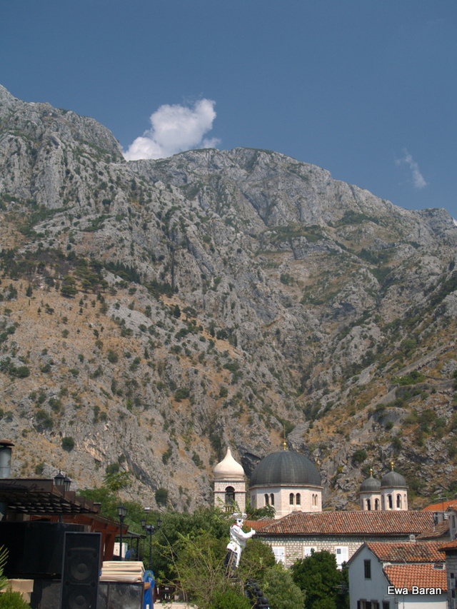 081 p1014404 orf