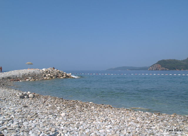 084 p1014473 orf
