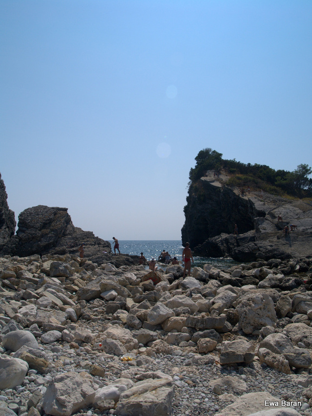 089 p1014495 orf
