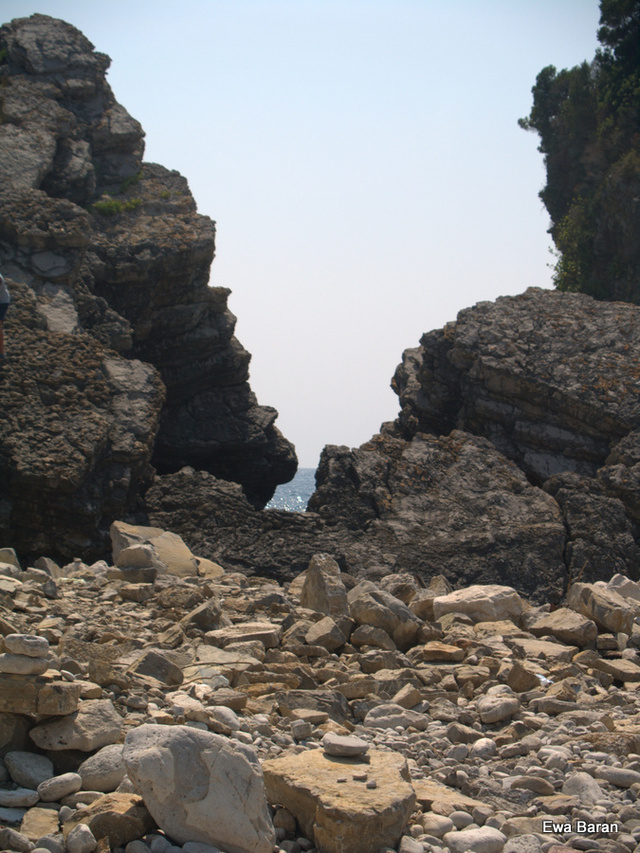 090 p1014502 orf