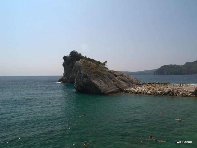 091 p1014512 orf