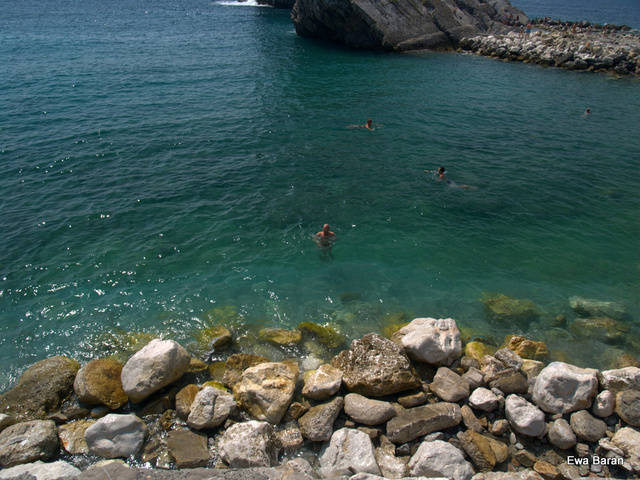 092 p1014514 orf