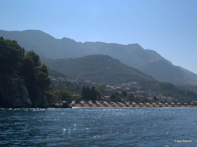 095 p1014565 orf