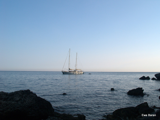 106 p1014635 orf