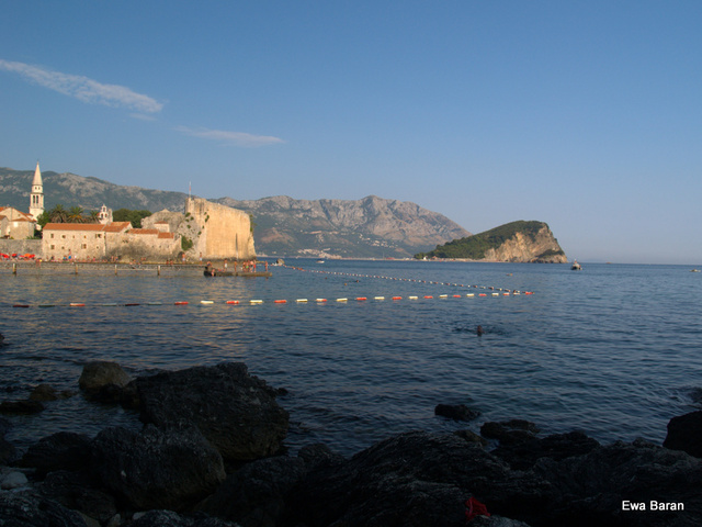 108 p1014637 orf
