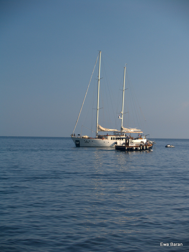 110 p1014643 orf