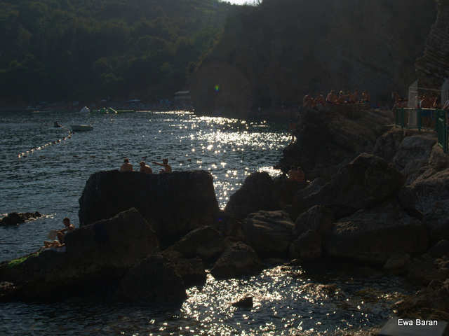112 p1014651 orf