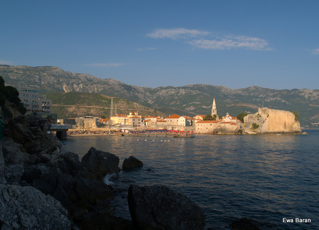 113 p1014660 orf