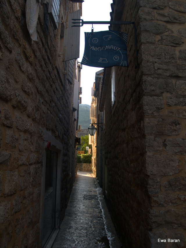 118 p1014685 orf