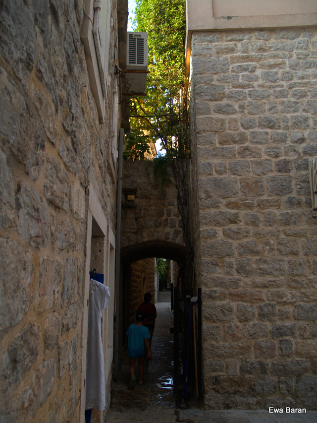 119 p1014686 orf