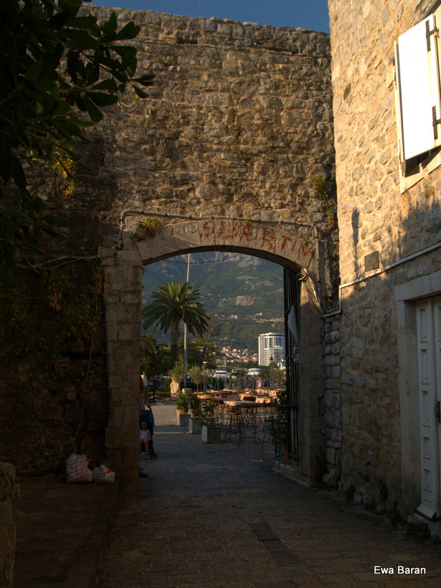 120 p1014688 orf