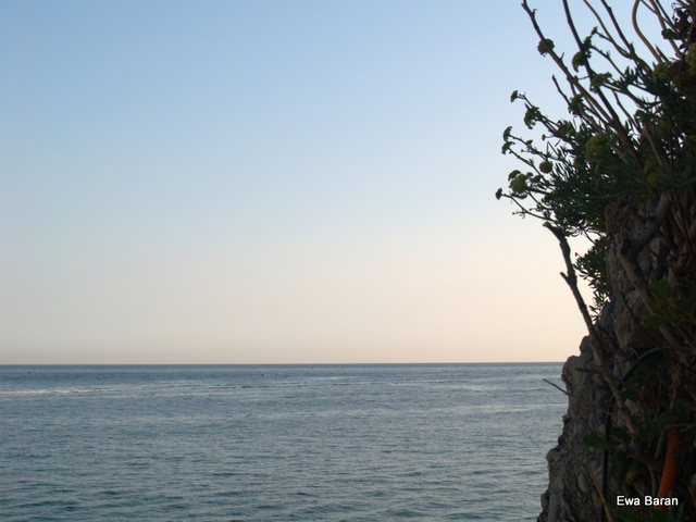 128 p1014712 orf