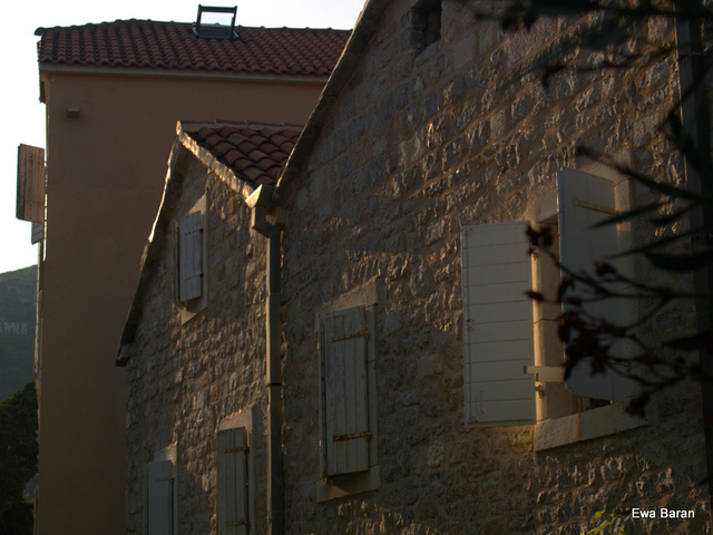130 p1014720 orf