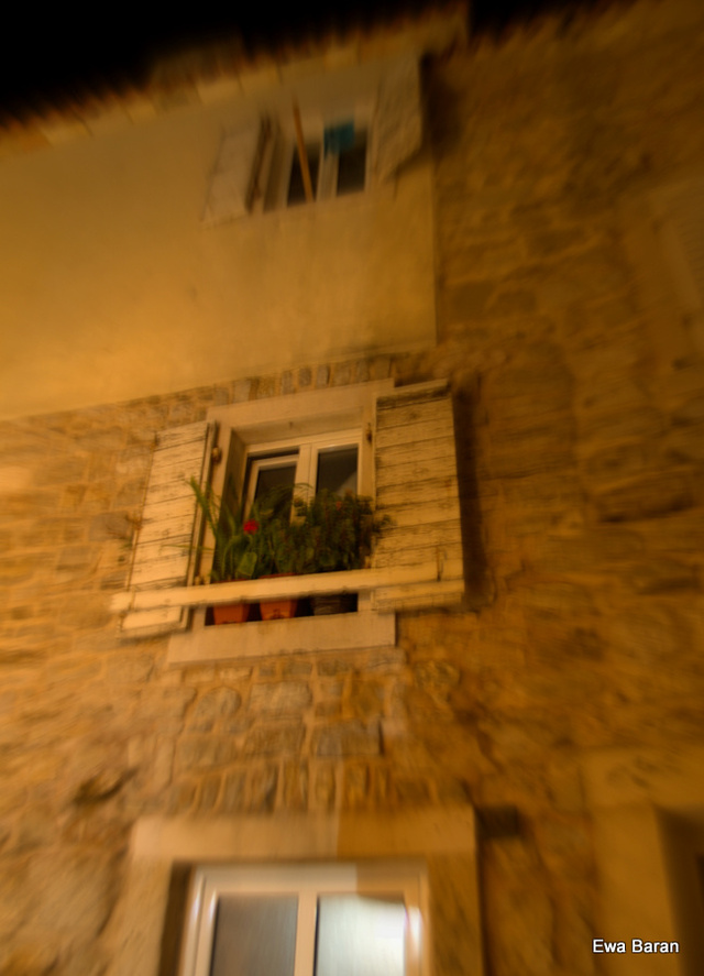 134 p1014042 orf