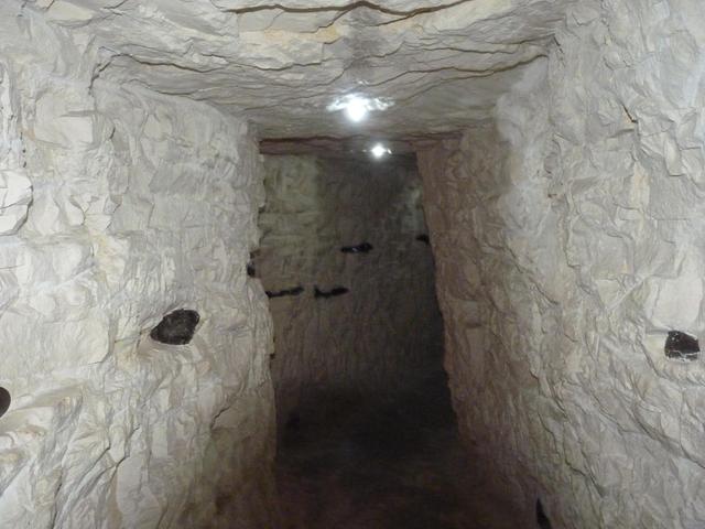 Krzemionki Opatowskie 