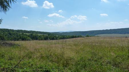 Wyjście z lasu na łąki – Beskid niski, Polska
