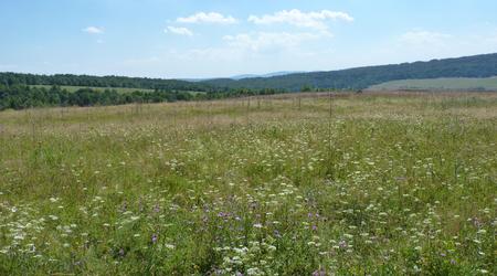 Łąki – Beskid niski, Polska