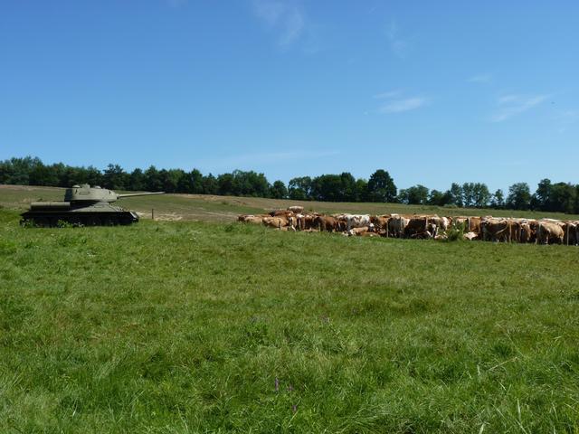 Dolina śmierci