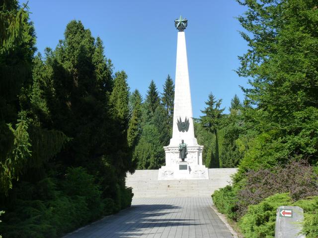 Svidnik