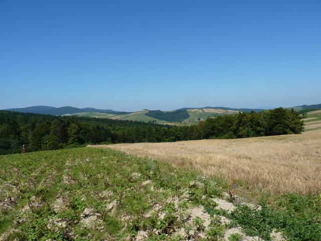 Beskid Niski