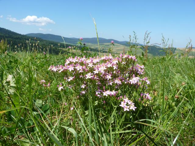 Beskid Niski